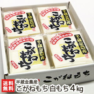n ˂  4kgi500g×8܁j _Yy/`/RKl`/n/pzyyY/yY/v[g/MtgɁI蕨zyz
