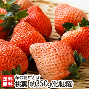 ̂悤ȐVi䕁uOvϔ 350gi9`15j䕂̉ԂƂ΁y/C`S/̂ꂽĎYn/VNE݂āzyyY/yY/v[g/MtgɁI蕨zyz 