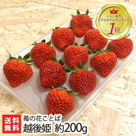 新潟ブランド苺「越後姫」1パック 約200g（9～11粒）家庭用簡易包装 苺の花ことば【いちご/イチゴ/採れたて産地直送/新鮮摘みたて】【お土産/手土産/プレゼント/ギフトに！贈り物】【送料無料】 父の日 お中元