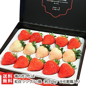 g VO1i350g/9`15jϔ 䕂̉ԂƂ΁y/C`S/̂ꂽĎYn/VNE݂āzyyY/yY/v[g/MtgɁI蕨zyz Ε