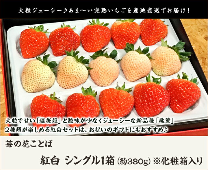 303円 Rakuten 花ことば strawberry 6個入
