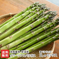 新潟産 グリーンアスパラガス「2Lサイズ 1kg」or「サイズ混合 1kg」宮路農場【新潟県産/新潟産/燕市産/産…