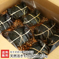 天然活きモクズガニ 約1kg（6〜10匹入）モクズガニ専門店 貝沼 蟹 かに 藻屑蟹 もくず蟹 もくずがに カニ…