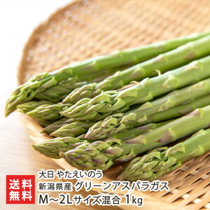 VY O[AXpKX M`2LTCY 1kg i30`35{j  ₽̂ AXp AXpKX VN ǂ V YҒ  Mtg v[g 蕨 