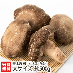 �V���Y ���������� ��T�C�Y �I�ׂ� ��500g( ��9�`13�� ) �` ��1kg( ��19�`27�� ) �ؔ_�� �ő� �V�C�^�P ���̂� �L�m�R �W�����{ �ۏ��͔| ���� �V���� ���Y�Ғ��� ������ �M�t�g �v���[���g 