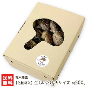 �y���ϔ����z�V���Y ���������� ��T�C�Y �I�ׂ� ��500g( ��9�`13�� ) �` ��1kg( ��19�`27�� ) �ؔ_�� �ő� �V�C�^�P ���̂� �L�m�R �W�����{ �ۏ��͔| ���� �V���� ���Y�Ғ��� ������ �M�t�g