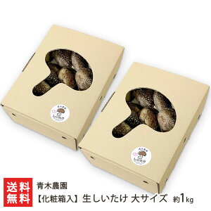 yϔzVY  TCY Iׂ 500g( 9`13 ) ` 1kg( 19`27 ) ؔ_ ő VC^P ̂ LmR W{ ۏ͔|  V YҒ  Mtg