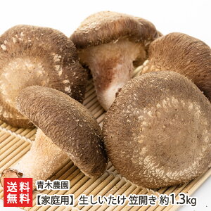 yƒpzVY  }J Iׂ 600g( 11`21 ) ` 1.3kg( 23`39 ) ؔ_ ő VC^P ̂ LmR W{ ۏ͔|  V YҒ  Mtg 