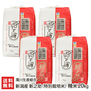 yߘa7NxVāzʍ͔|āi_Ew엿jVY VV  Iׂ 2kg ` 20kg 쐶Yg  邿 VY ̂ Yn͔| V YҒ  M
