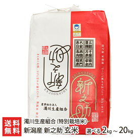 【令和7年度米】特別栽培米（減農薬・減化学肥料）新潟産 新之助 玄米 選べる 2kg 5kg 10kg 20kg 濁川生産組合 新潟県産 しんのすけ 産地直送栽培 新潟県 生産者直送 お取り寄せ ギフト プレゼント 贈り物 送料無料