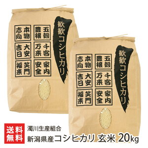 yߘa7NxVāz VYRVqJ  2kg ` 20kg 쐶Yg  邿 VY Ђ z Yn V YҒ  Mtg v[g 蕨 