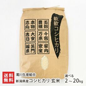 【令和7年度新米】 新潟県産コシヒカリ 玄米 2kg 5kg 10kg 20kg 濁川生産組合 白米 うるち米 新潟県産 こしひかり 越光 産地直送 新潟県 生産者直送 お取り寄せ ギフト プレゼント 贈り物 送料無料