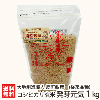 楽天市場】【令和5年度米】新潟産コシヒカリ（従来品種）玄米「発芽