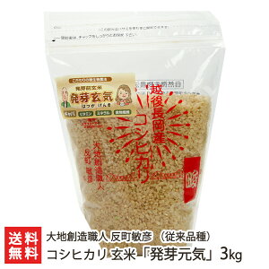 yߘa7NxVāzVY RVqJi ]i j  u茳CvIׂ 1kg ` 2kg 茺 _ w엿 VY Ђ BL ] ]^ ̃RVqJ  邿 
