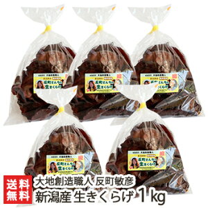 V Y 炰 1kgi200g×5jyLNQ/؎/̂/LmR/zy蕨zyyY/yY/MtgɁI蕨zyz