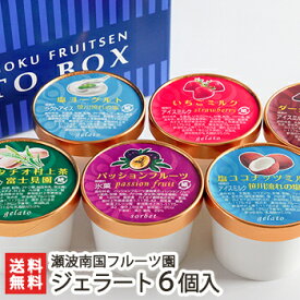 ジェラート詰め合わせ 6個入 お好きな種類をお選びください 瀬波南国フルーツ園 アイスクリーム パッションフルーツ 塩ココナッツミルク ピスタチオ 村上茶 新潟県 生産者直送 お取り寄せ ギフト プレゼント 贈り物 お歳暮