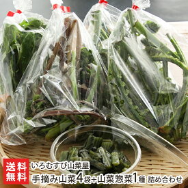 手摘み山菜4袋+山菜惣菜1種 詰め合わせ いろむすび山菜屋 生産者直送 送料無料【お惣菜 一人暮らし 仕送り お取り寄せグルメ】 父の日 お中元