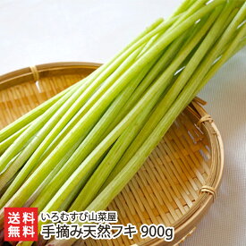 手摘み天然フキ 900g（180g×5袋） いろむすび山菜屋 産地直送 送料無料【採れたて直送 新鮮 鮮度抜群 天ぷら 煮物 味噌汁】