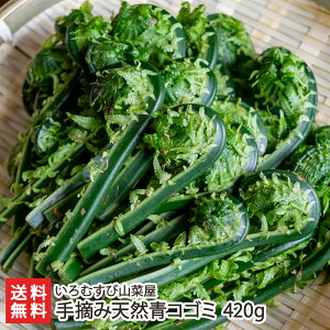 ��E�ݓV�R�R�S�~ 420g�i70g×6�܁j ����ނ��юR�؉� �Y�n���� ���������y�̂ꂽ�Ē��� �V�N �N�x���Q �V�Ղ� �ϕ� ���X�`�z