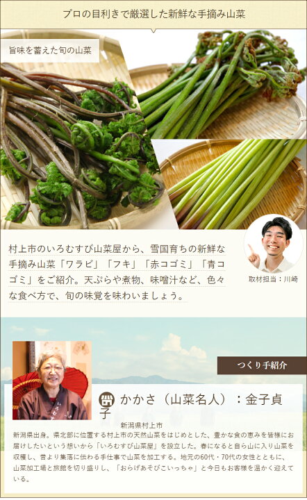 楽天市場】手摘み天然青コゴミ 420g（70g×6袋） いろむすび山菜屋 産地 