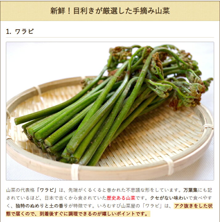 楽天市場】手摘み天然青コゴミ 420g（70g×6袋） いろむすび山菜屋 産地 
