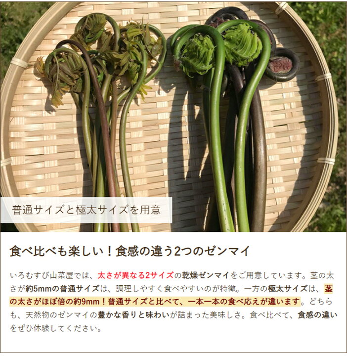 楽天市場】（旧）乾燥ゼンマイ 300g（100g×3袋） いろむすび山菜屋 