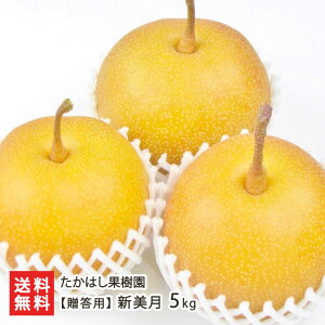 VY { p V Iׂ 2kgi4`9ʁj ` 5kgi9`22ʁj͂ʎ VY  Ȃ iV a V YҒ  Mtg v[g 蕨