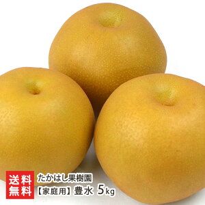 VY { ƒp L Iׂ 2kgi3`7ʁj ` 5kgi6`18ʁj ͂ʎ L VY  Ȃ iV a V YҒ  蕨