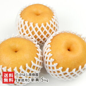 VY { ƒp V Iׂ 2kgi3`6ʁj ` 5kgi6`13ʁj ͂ʎ V VY  Ȃ iV a V YҒ  蕨