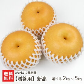 新潟産 日本梨 贈答用 新高 選べる 2kg（3〜5玉） 〜 5kg（5〜12玉）たかはし果樹園 新高梨 新潟県産 梨 なし ナシ 和梨 新潟県 生産者直送 お取り寄せ ギフト プレゼント 贈り物