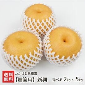新潟産 日本梨 贈答用 新興 選べる 2kg（3〜6玉） 〜 5kg（6〜13玉） たかはし果樹園 新興梨 新潟県産 梨 なし ナシ 和梨 新潟県 生産者直送 お取り寄せ ギフト プレゼント 贈り物