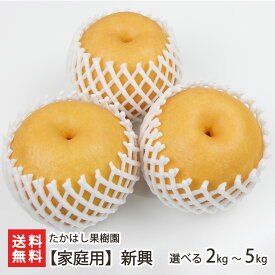 新潟産 日本梨 家庭用 新興 選べる 2kg（3〜6玉） 〜 5kg（6〜13玉） たかはし果樹園 新興梨 新潟県産 梨 なし ナシ 和梨 新潟県 生産者直送 お取り寄せ 贈り物 お歳暮