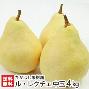 �y�����p�z�m�� �����N�`�F�u���� 1kg�vor�u���� 1kg�vor�u���� 2kg�vor�u��� 2kg�vor�u���� 3kg�vor�u��� 3kg�vor�u���� 4kg�vor�u��� 4kg�v�����͂��ʎ����y���E���N�`�F/�m�i�V/�m�Ȃ��z�y���y�Y