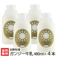 新潟 ガンジー牛乳 480ml×4本セット 加勢牧場 【希少な乳牛/ガンジー牛/生乳100％】【ゴールデンミルク/…