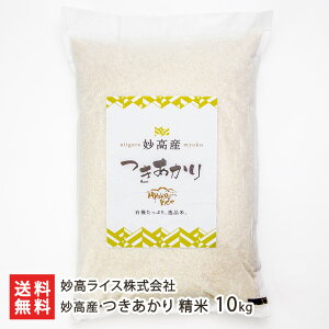 yߘa7NxVāz V Y   Iׂ 5kg or 10kg CX  V 邿  VY V YҒ  Mtg v[g 蕨 