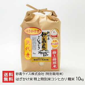 yߘa7NxVāzY ͂ ʕăRVqJ  Iׂ 2kg ` 10kg CX ʍ͔| _ w엿  邿 Ђ VY VY V 