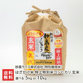 【令和7年度新米】妙高産 はざかけ米 特上特別米コシヒカリ 玄米 選べる 5kg 10kg 妙高ライス株式会社 特別栽培米 減農薬 減化学肥料 こしひかり 新潟産 新潟県産 新潟県 生産者直送 お取り寄せ ギフト プレゼント 贈り物 送料無料