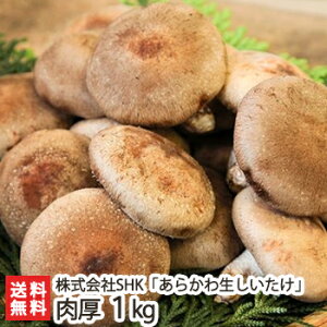 VYyz炩퐶 1kg SHK ő VC^P ̂ LmR W{ ۏ͔| S_ w엿 ֐쑺 V YҒ  Mtg v[g 蕨 