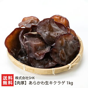 VY 炩퐶LNQ uI 400gvoru 500gvoru 1kgvSHKyVY/LNQ/؎/̂/LmRzyyY/yY/v[g/MtgɁI蕨zyz