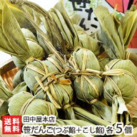 笹だんご（つぶ餡＋こし餡）各5個入り 田中屋本店 こしあん つぶあん よもぎ 秘密のケンミンショー モー…