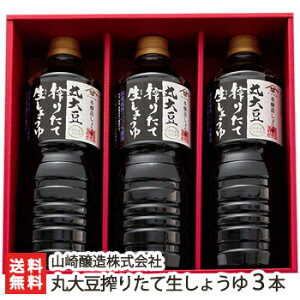 ۑ哤肽Đ傤 3{i1000ml×3j R ݖ   Z  Y哤 VY哤gp Y100 ڂ肽 V J 1L 1bg V Y