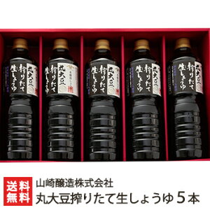 ۑ哤肽Đ傤 5{i1000ml×5j R ݖ   Z  Y哤 VY哤gp Y100 ڂ肽 V J 1L 1bg V Y