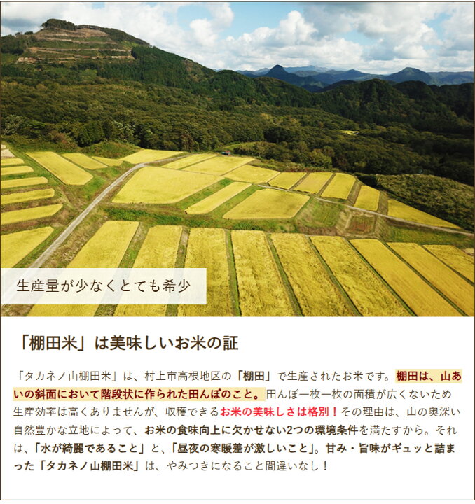 楽天市場】令和6年度産米 棚田米 岩船産コシヒカリ「タカネノ山棚田米 