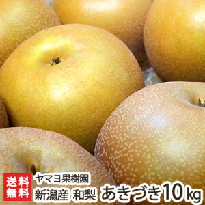 ypzÂ 3kg (4`8) ` 10kg (14`28) }ʎ { a  iV Ȃ V YҒ  Mtg v[g 蕨 
