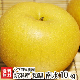 【贈答用】南水「3kg」or「5kg」or「10kg」ヤマヨ果樹園の日本梨【南水梨】【新潟県産梨/なし/ナシ/和梨】【お土産/手土産/ギフトに！贈り物】【送料無料】 父の日 お中元