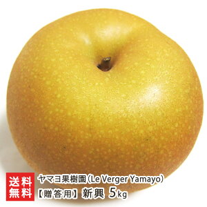 【贈答用】新興 選べる 3kg (4〜7玉) 〜 10kg (12〜20玉) ヤマヨ果樹園 日本梨 和梨 梨 ナシ なし 新潟県 生産者直送 お取り寄せ ギフト プレゼント 贈り物 送料無料