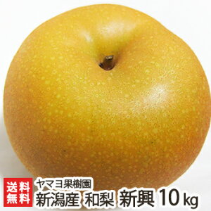 ypzV 3kg (4`7) ` 10kg (12`20) }ʎ { a  iV Ȃ V YҒ  Mtg v[g 蕨 