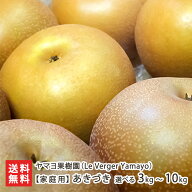 【家庭用】あきづき 選べる 3kg (5〜9玉) 〜 10kg (16〜32玉) ヤマヨ果樹園（Le Verger Yamayo） 日本梨 …