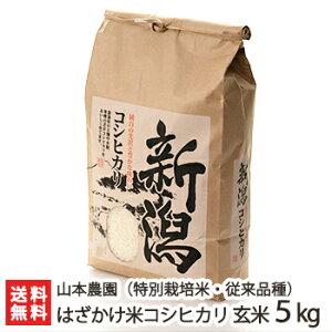 yߘa7NxVāzʍ͔|āi_Ew엿jVY ͂ăRVqJ ]i  Iׂ 2kg ` 5kg R{_  邿 Ђ BL ] ]^ NVbNRV