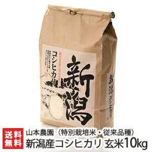 yߘa7NxVāzʍ͔|āi_Ew엿jVY RVqJ ]i  Iׂ 2kg ` 10kg R{_  邿 Ђ BL ] ]^ NVbNRVqJ V